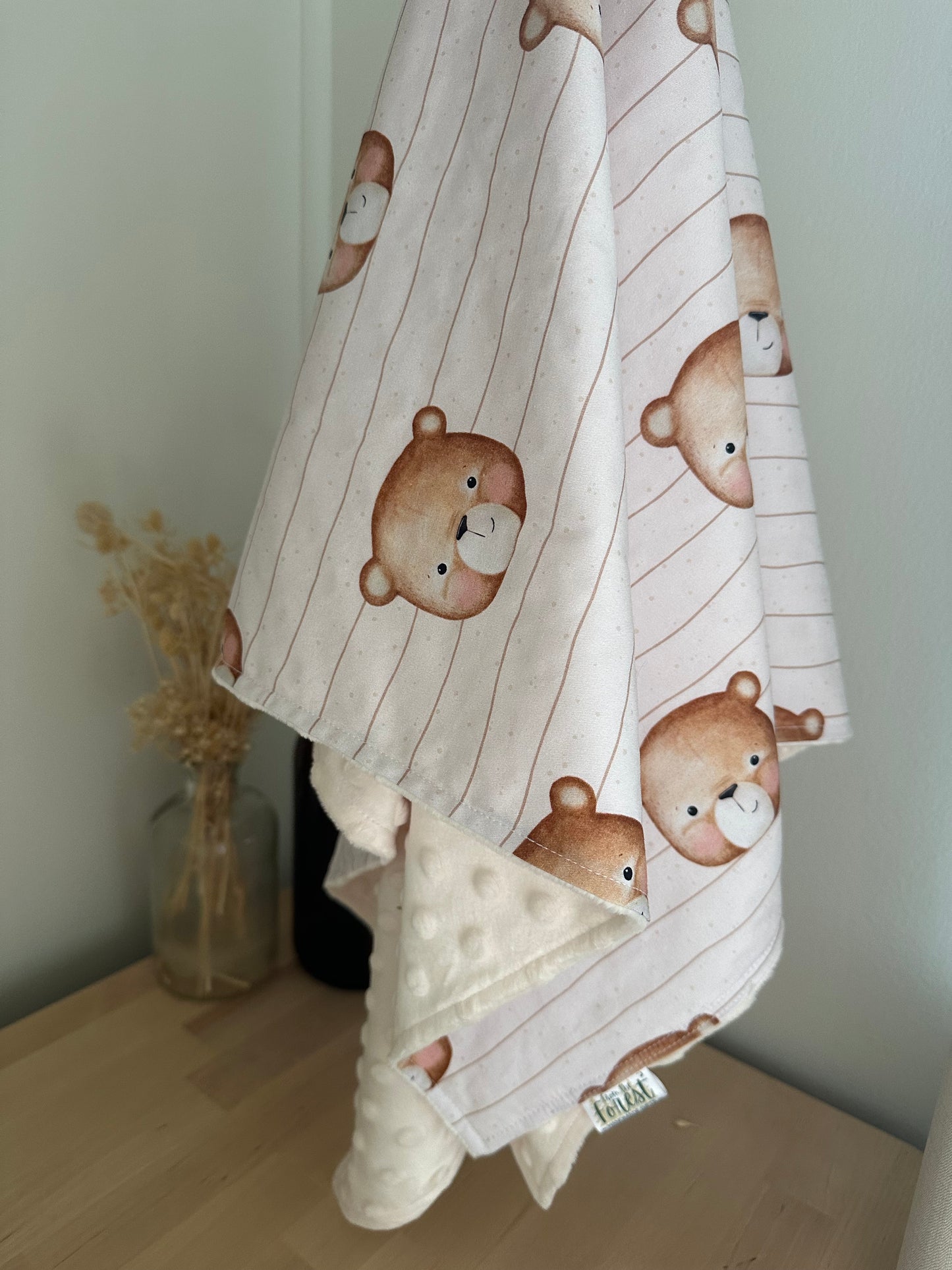 Teddy Minky Blanket