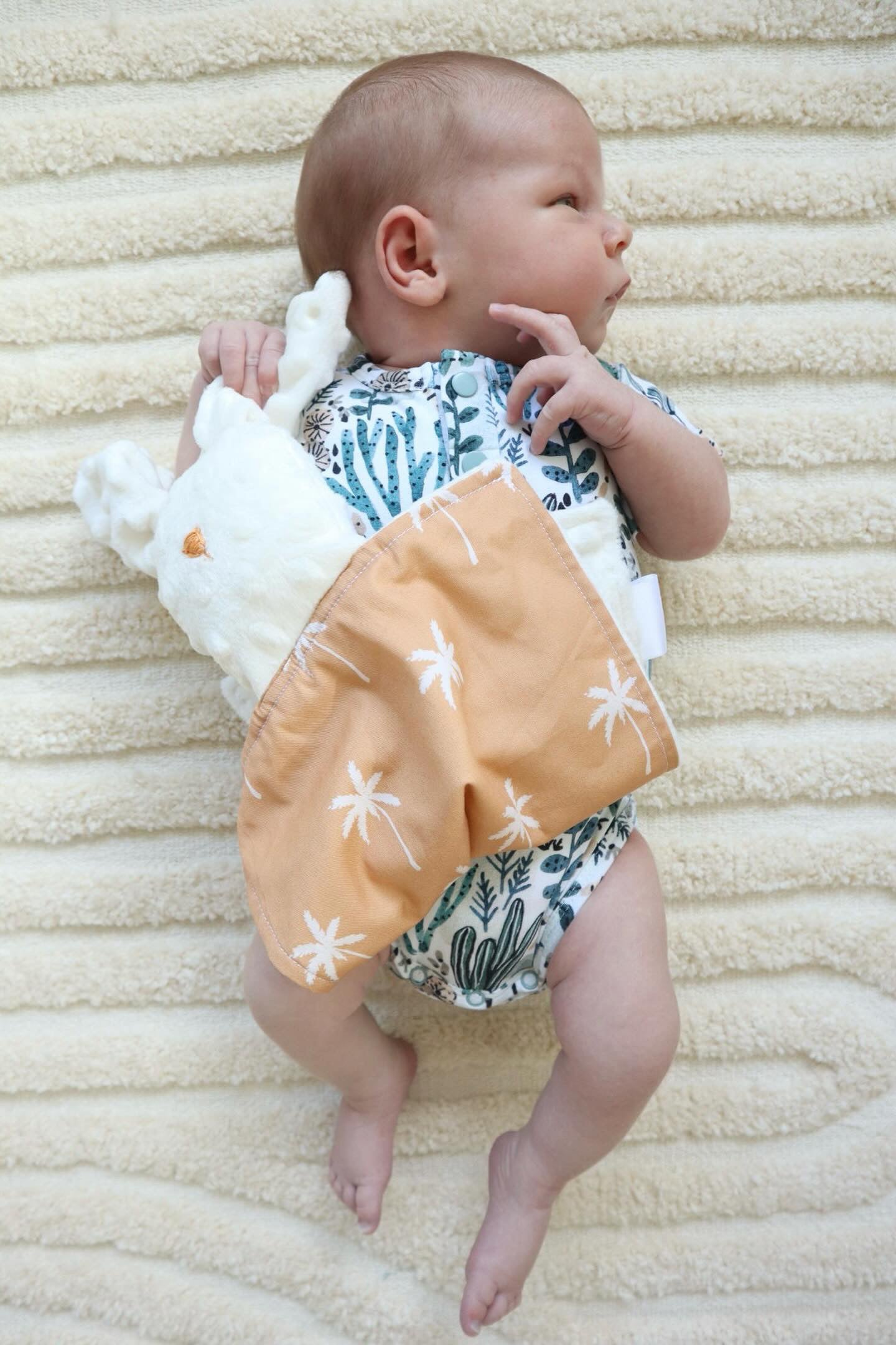 Minky Comforters
